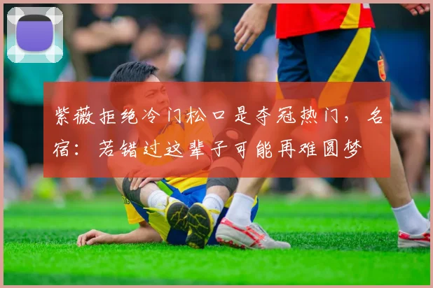 紫薇拒绝冷门松口是夺冠热门，名宿：若错过这辈子可能再难圆梦
